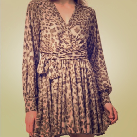 Leopard Dress - Picture 1 of 2